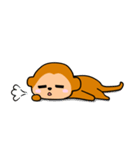 Tiny Monkey（個別スタンプ：30）