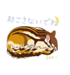 シマリス モカちゃんのメッセージ（個別スタンプ：35）