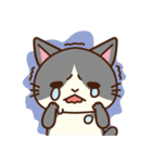 「ペティリビング岩手」タマコ（個別スタンプ：3）