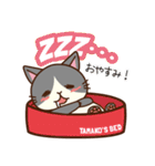 「ペティリビング岩手」タマコ（個別スタンプ：5）