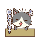 「ペティリビング岩手」タマコ（個別スタンプ：9）