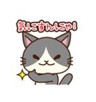 「ペティリビング岩手」タマコ（個別スタンプ：13）