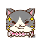 「ペティリビング岩手」タマコ（個別スタンプ：14）