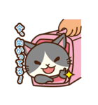 「ペティリビング岩手」タマコ（個別スタンプ：29）