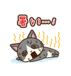 「ペティリビング岩手」タマコ（個別スタンプ：34）
