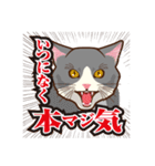 「ペティリビング岩手」タマコ（個別スタンプ：40）