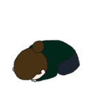 ちょっとこんね！ふくおか（個別スタンプ：3）