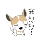 Families with dog Scooby（個別スタンプ：1）