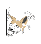 Families with dog Scooby（個別スタンプ：4）
