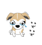 Families with dog Scooby（個別スタンプ：7）