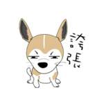 Families with dog Scooby（個別スタンプ：12）