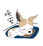 Families with dog Scooby（個別スタンプ：19）