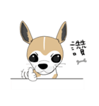Families with dog Scooby（個別スタンプ：20）