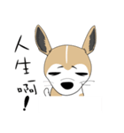 Families with dog Scooby（個別スタンプ：25）