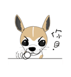 Families with dog Scooby（個別スタンプ：32）