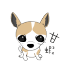 Families with dog Scooby（個別スタンプ：33）