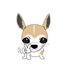 Families with dog Scooby（個別スタンプ：38）