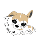 Families with dog Scooby（個別スタンプ：39）