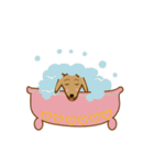 sweet  momo＆obama（個別スタンプ：6）