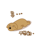 sweet  momo＆obama（個別スタンプ：11）