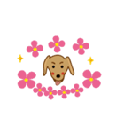 sweet  momo＆obama（個別スタンプ：23）