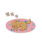 sweet  momo＆obama（個別スタンプ：29）