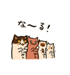 ばけねこども『なるほど！』（個別スタンプ：38）