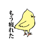 タートリときどきニャタタ（個別スタンプ：19）