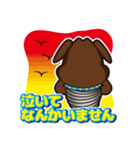 インプラント犬 kenken（個別スタンプ：17）
