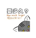 Sticker Collection: We are so mean.（個別スタンプ：13）