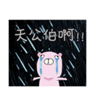 Pink Bear Speak Taiwanese（個別スタンプ：36）