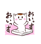 おもちねこ！（個別スタンプ：1）