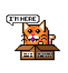 Charlie : The Lazy Cube Cat（個別スタンプ：25）