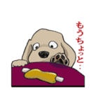 わんこのスタンプ（修正版）（個別スタンプ：28）