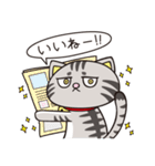 猫くらし（個別スタンプ：1）