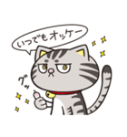 猫くらし（個別スタンプ：2）