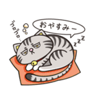 猫くらし（個別スタンプ：8）