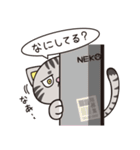 猫くらし（個別スタンプ：14）