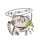 猫くらし（個別スタンプ：16）