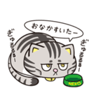 猫くらし（個別スタンプ：19）