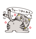 猫くらし（個別スタンプ：27）