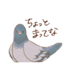 ほのぼの（？）ゆとり（鳥）世代（個別スタンプ：32）