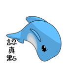 Dolphin (Everyday Life)（個別スタンプ：3）