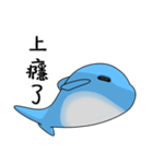 Dolphin (Everyday Life)（個別スタンプ：19）