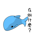 Dolphin (Everyday Life)（個別スタンプ：28）