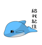 Dolphin (Everyday Life)（個別スタンプ：29）