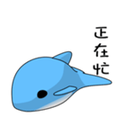 Dolphin (Everyday Life)（個別スタンプ：39）