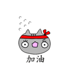 Pily cat（個別スタンプ：6）