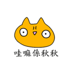 Pily cat（個別スタンプ：15）