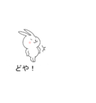 ウサギの吹き出し【関西弁】（個別スタンプ：4）